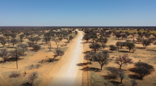 aerial view bush