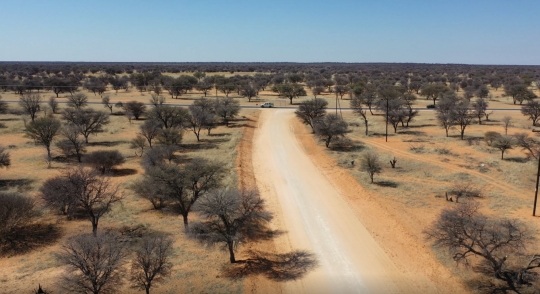 aerial view bush